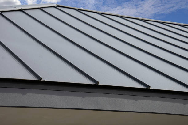 Best Green or Eco-Friendly Roofing Solutions  in Volo, IL